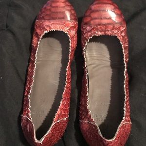 Brunello cucinelli. python cap snake skin flats
